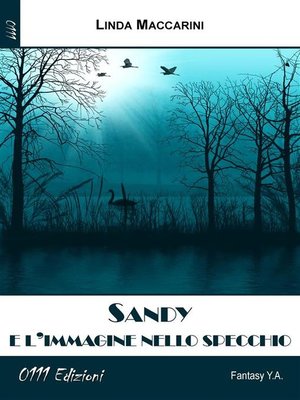 cover image of Sandy e l'immagine nello specchio